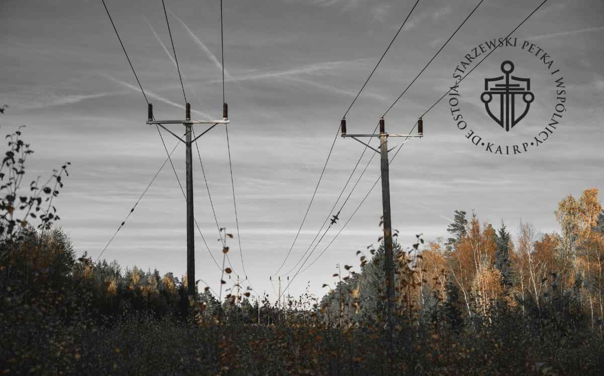 Słupy energetyczne stojące na zalesionym terenie – przykładowe urządzenia przesyłowe przebiegające przez prywatne działki.