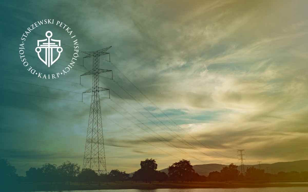 Słup energetyczny i linie przesyłowe nad terenami wiejskimi – infrastruktura przesyłowa