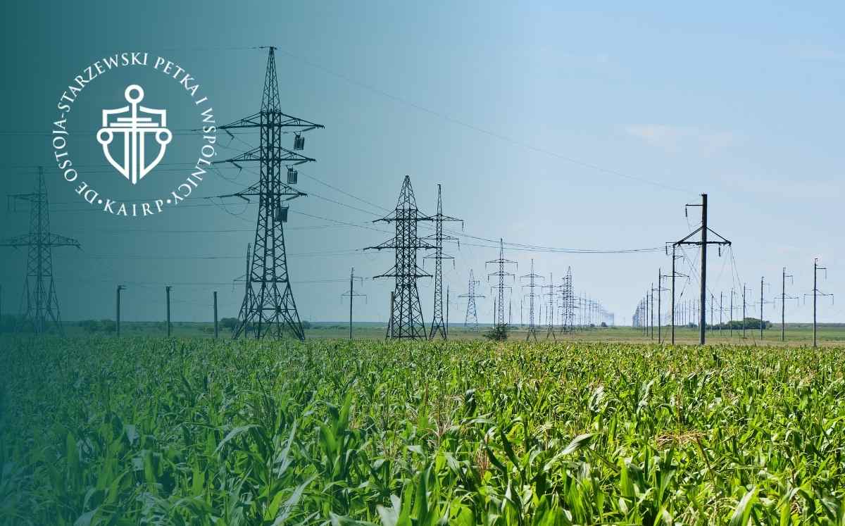 Linie wysokiego napięcia przebiegające nad polem uprawnym kukurydzy – infrastruktura przesyłowa na terenie rolnym.