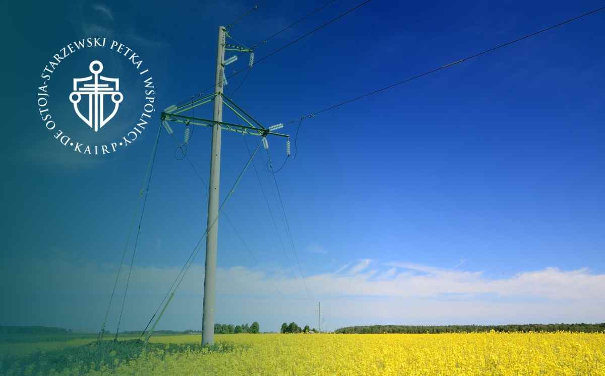 Słup energetyczny i linia wysokiego napięcia na polu uprawnym – infrastruktura przesyłowa na prywatnej działce