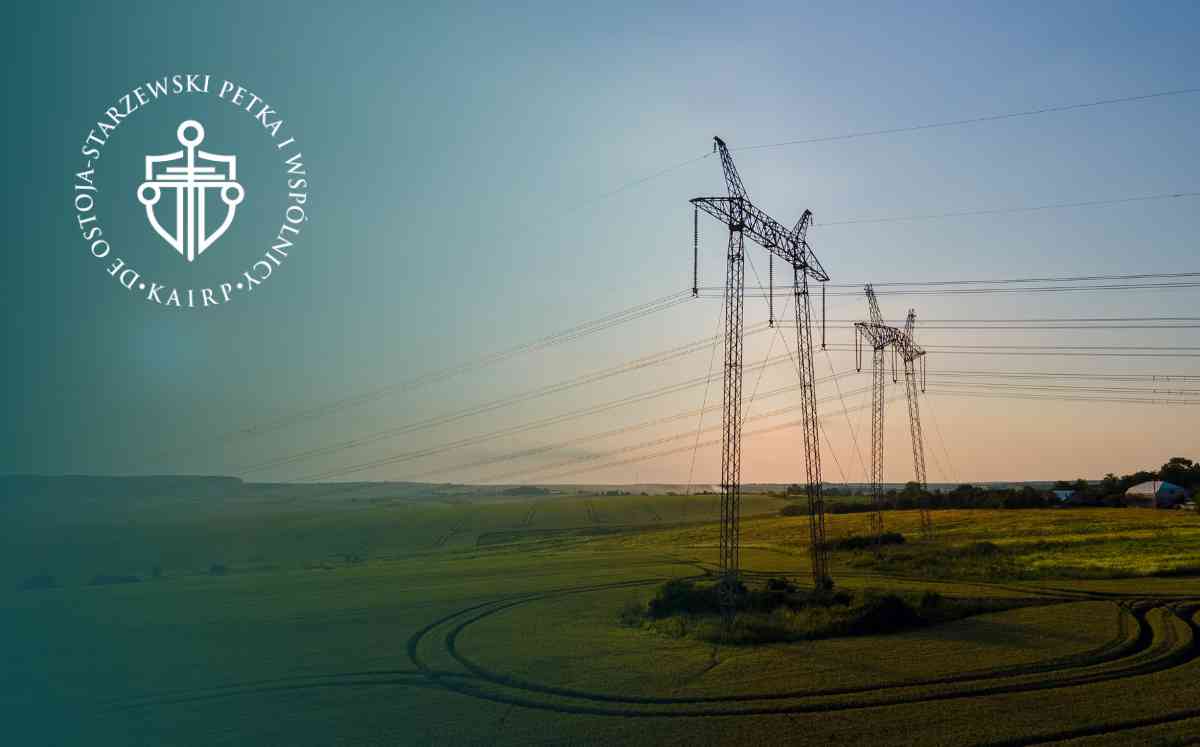 Słupy wysokiego napięcia na rozległych zielonych polach