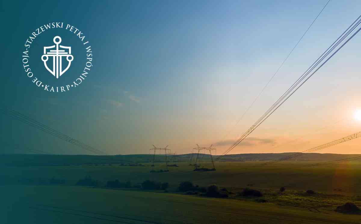 Słupy energetyczne na rozległym polu o świcie