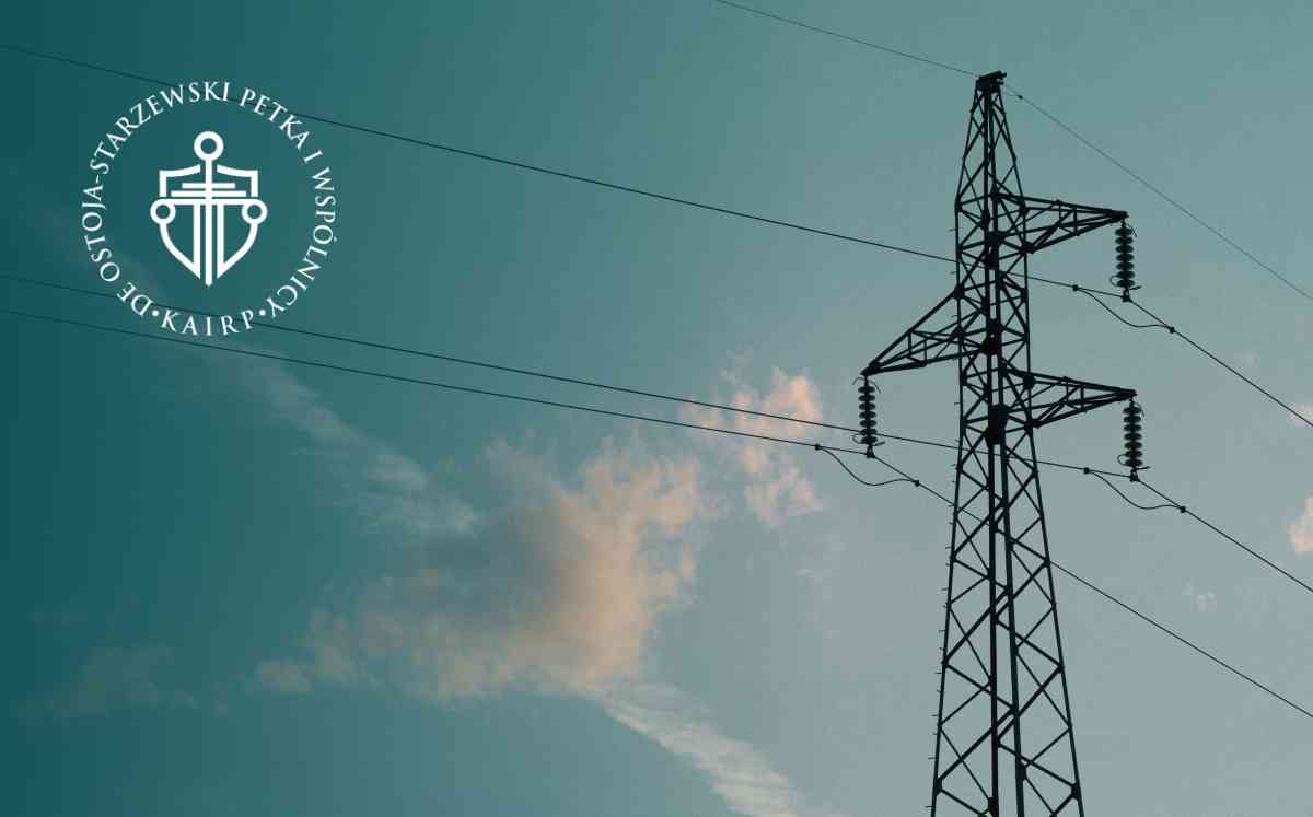 Konstrukcja słupa energetycznego z przewodami na tle błękitnego nieba – przykład urządzenia infrastrukturalnego na prywatnej działce.