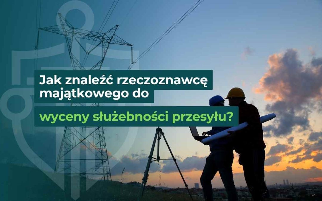 Dwóch specjalistów z laptopem i sprzętem pomiarowym pracujących przy linii energetycznej o zachodzie słońca