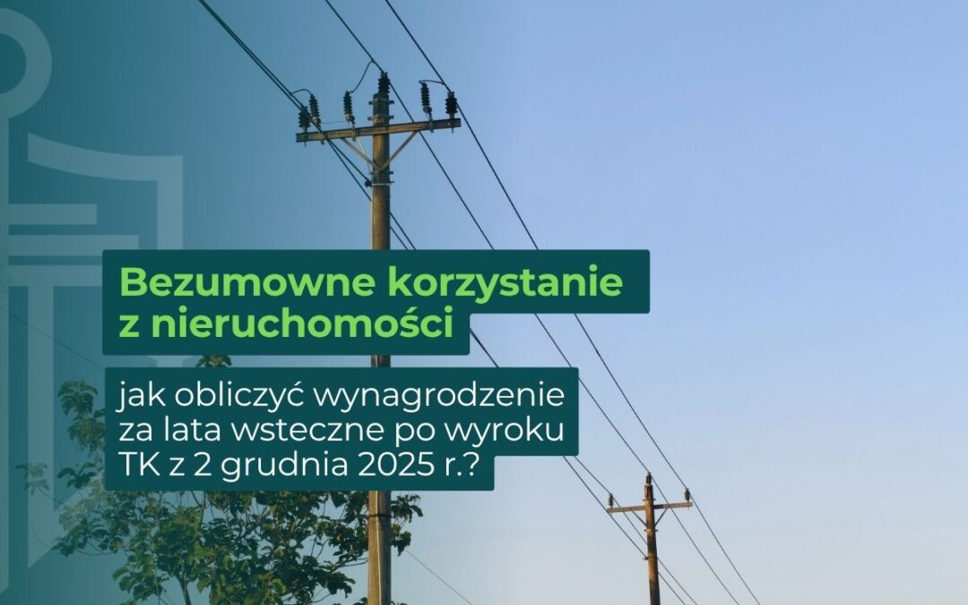 Dwa słupy energetyczne na tle drzewa i błękitnego nieba